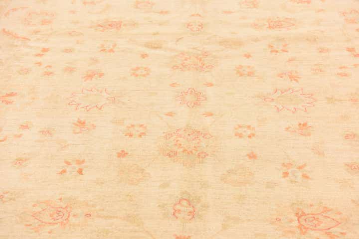 9' 9 x 12' 10 Hand Knotted Peshawar Ziegler Rug