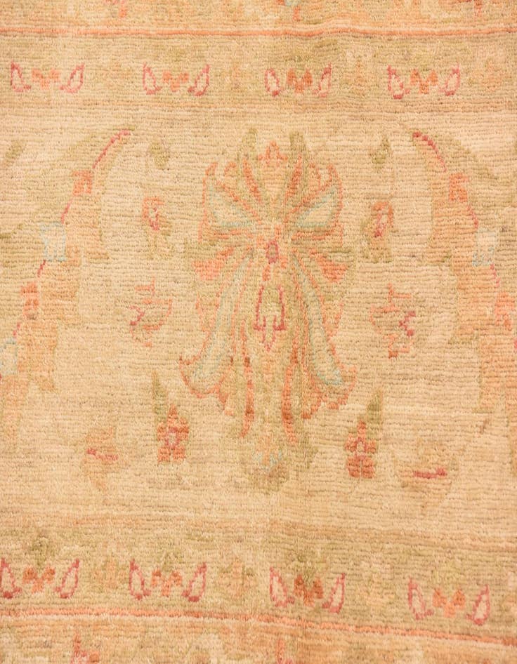 Detail image of 9' 9 x 12' 10  Hand Knotted Peshawar Ziegler Rug