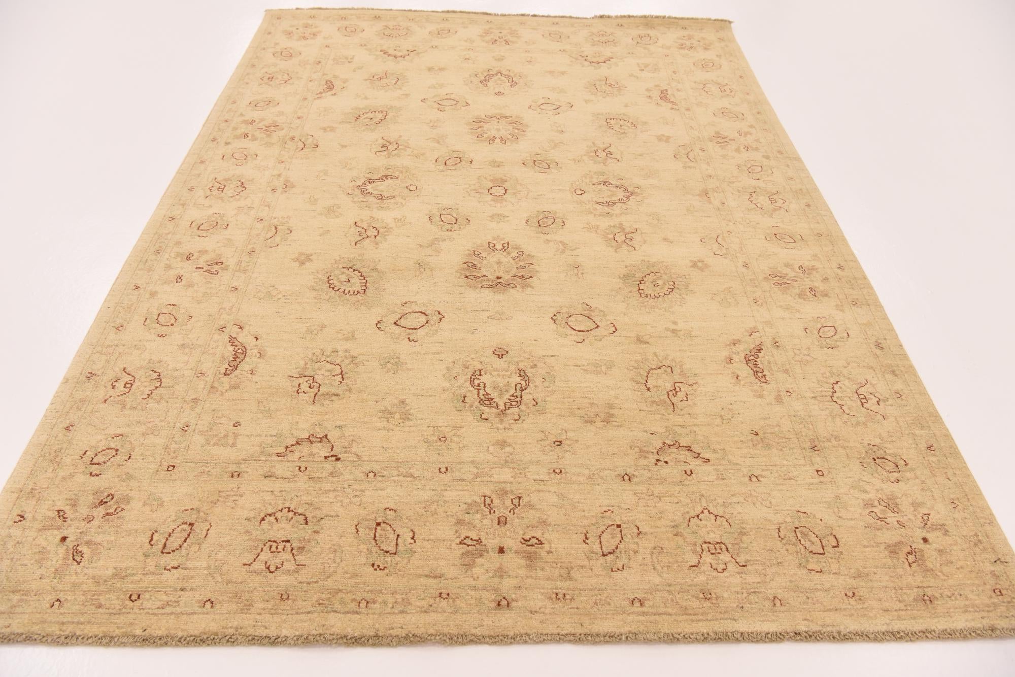 5' 6 x 7' 8 Hand Knotted Peshawar Ziegler Rug