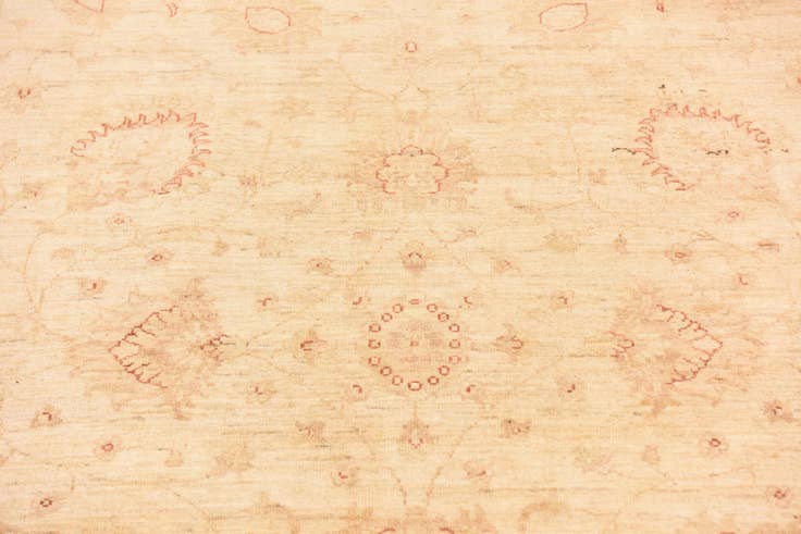 Detail image of 5' 7 x 7' 7 Hand Knotted Peshawar Ziegler Rug