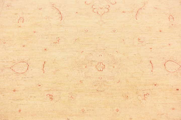 5' 7 x 8' Hand Knotted Peshawar Ziegler Rug