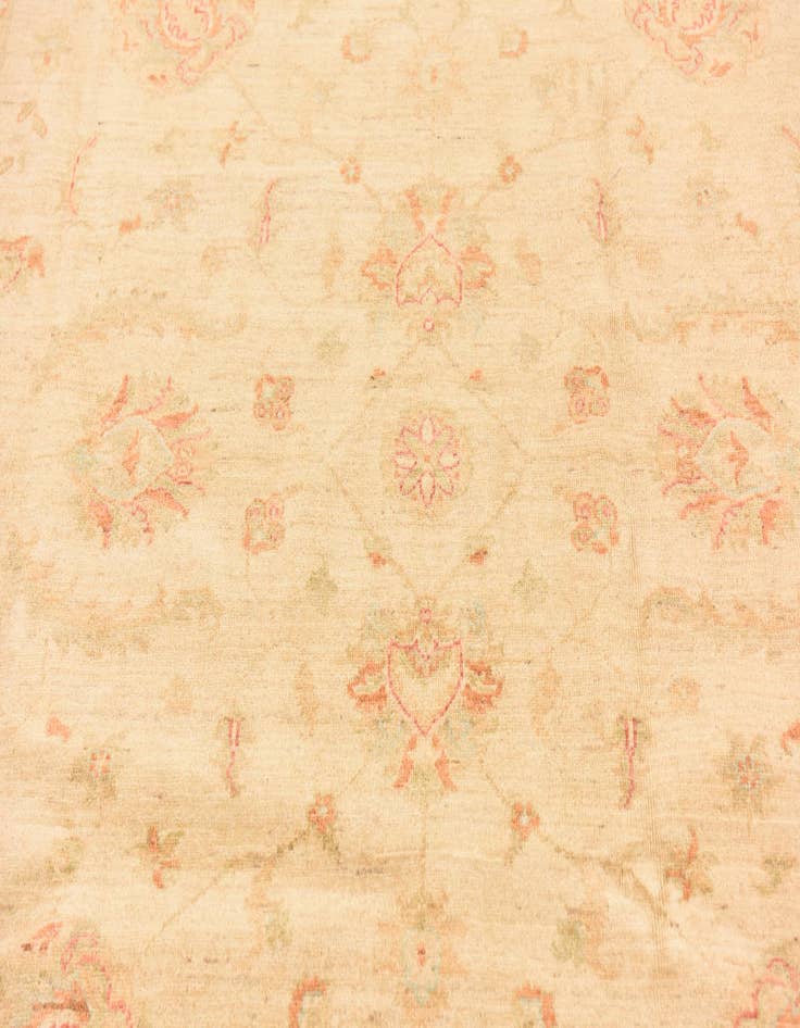 Detail image of 6' 9 x 9' 8  Hand Knotted Peshawar Ziegler Rug