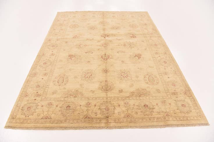 Detail image of 5' x 6' 7 Hand Knotted Peshawar Ziegler Rug