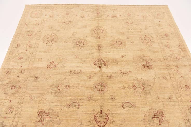 Detail image of 5' x 6' 7 Hand Knotted Peshawar Ziegler Rug