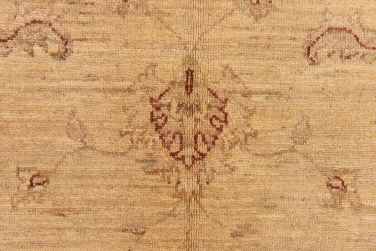 Detail image of 5' x 6' 7 Hand Knotted Peshawar Ziegler Rug