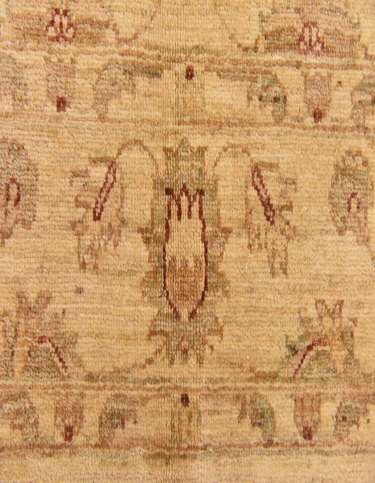 Detail image of 5' x 6' 7  Hand Knotted Peshawar Ziegler Rug