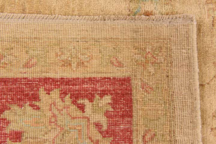 6' 6 x 9' 4 Hand Knotted Peshawar Ziegler Rug