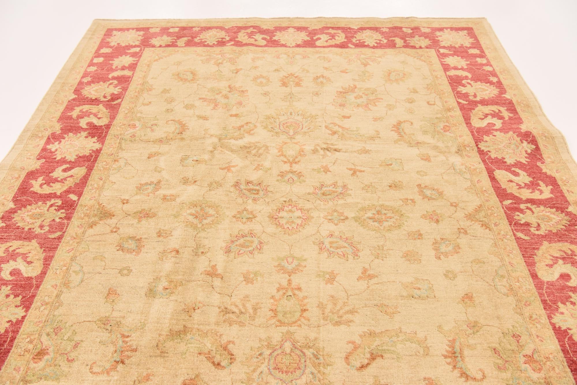 6' 6 x 9' 4 Hand Knotted Peshawar Ziegler Rug