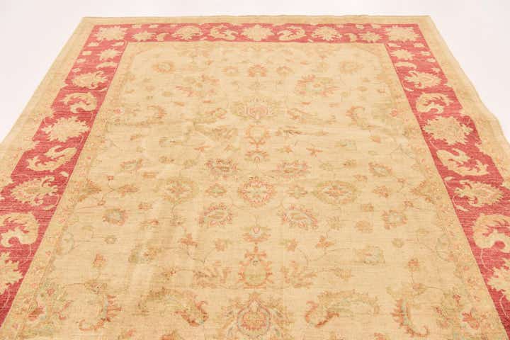6' 6 x 9' 4 Hand Knotted Peshawar Ziegler Rug