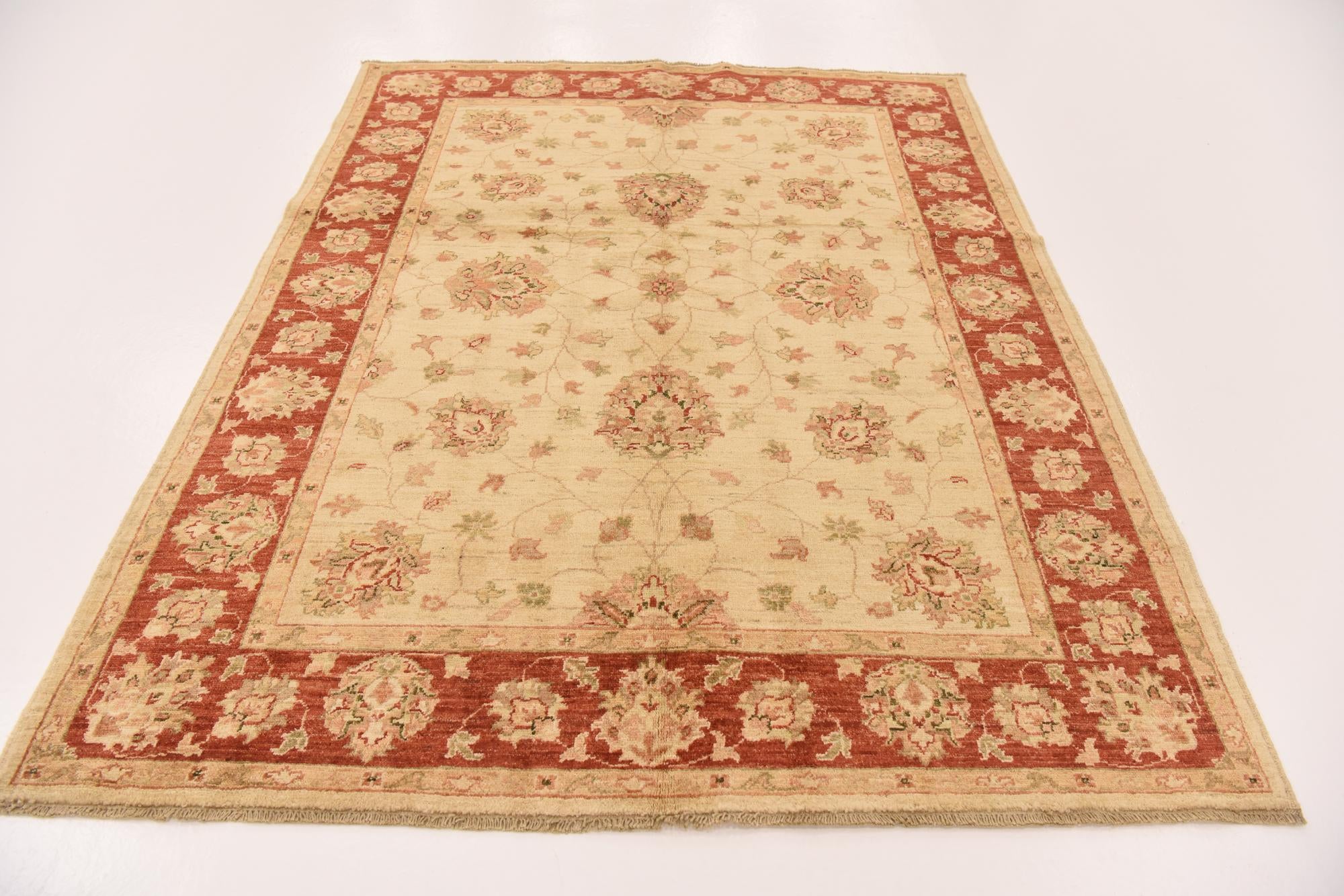 5' x 6' 6 Hand Knotted Peshawar Ziegler Rug