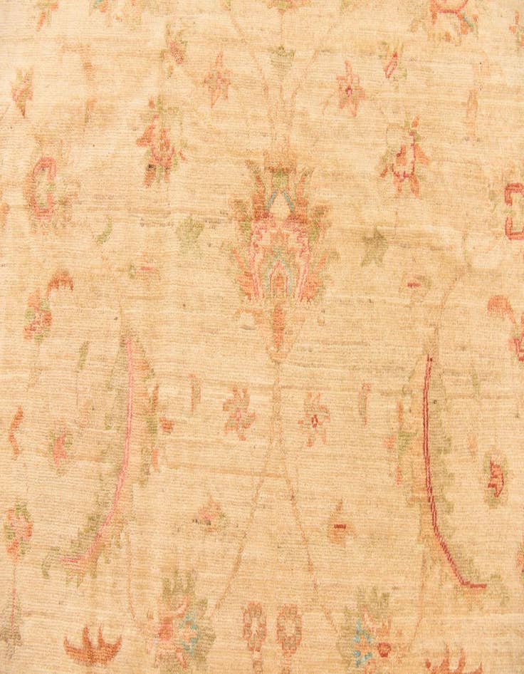 Detail image of 8' 3 x 11' 5  Hand Knotted Peshawar Ziegler Rug