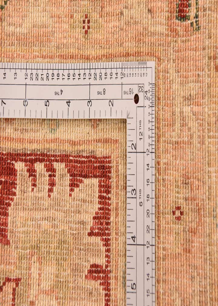 13' x 17' 7 Hand Knotted Peshawar Ziegler Rug