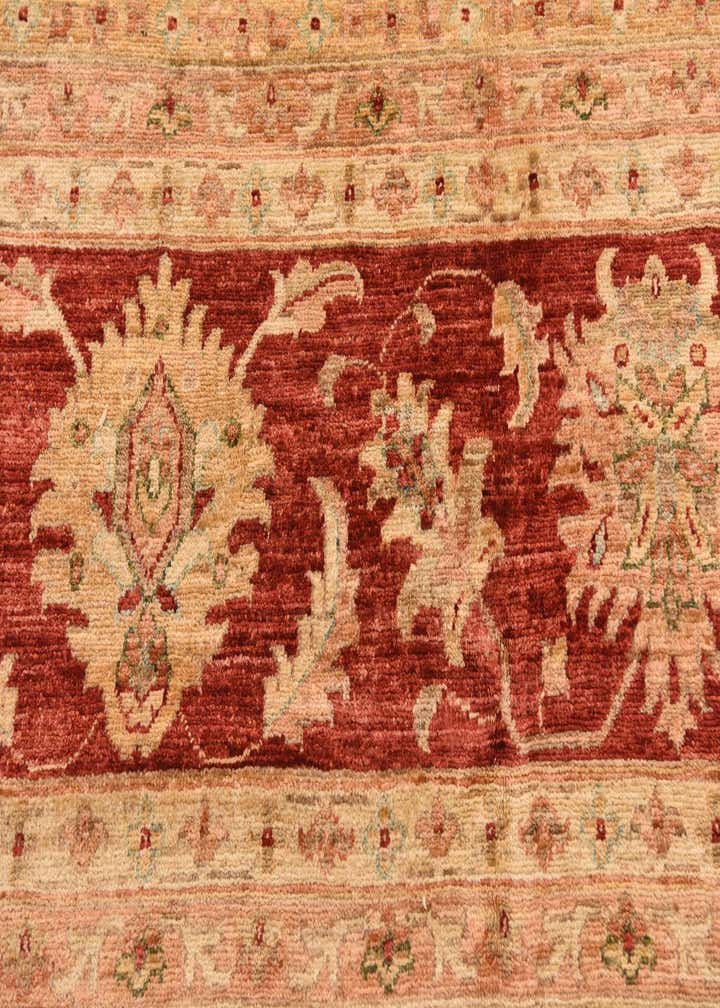 13' x 17' 7 Hand Knotted Peshawar Ziegler Rug