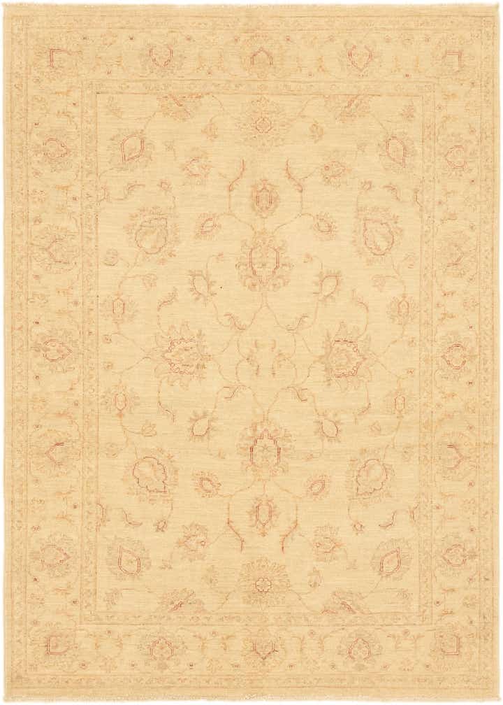 4' 9 x 6' 8 Hand Knotted Peshawar Ziegler Rug