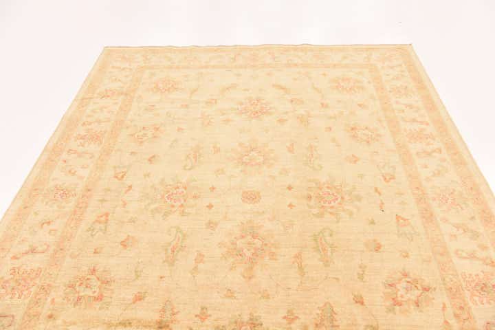 6' 8 x 9' 1 Hand Knotted Peshawar Ziegler Rug