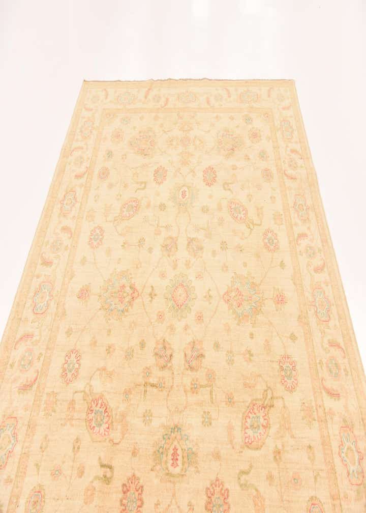 6' 8 x 10' Hand Knotted Peshawar Ziegler Rug