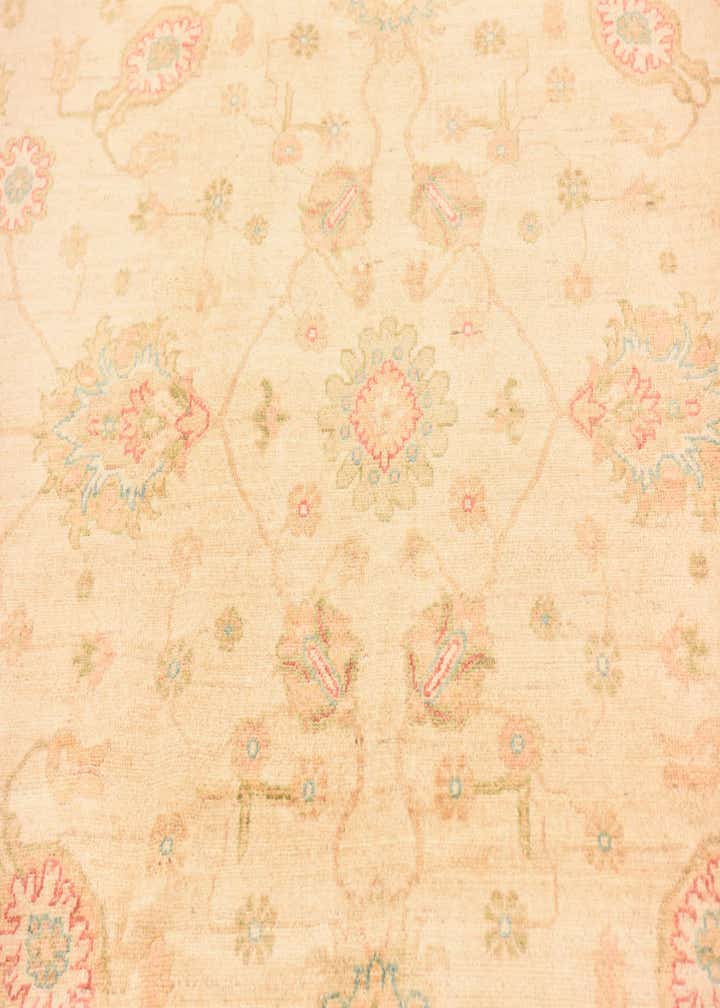 6' 8 x 10' Hand Knotted Peshawar Ziegler Rug
