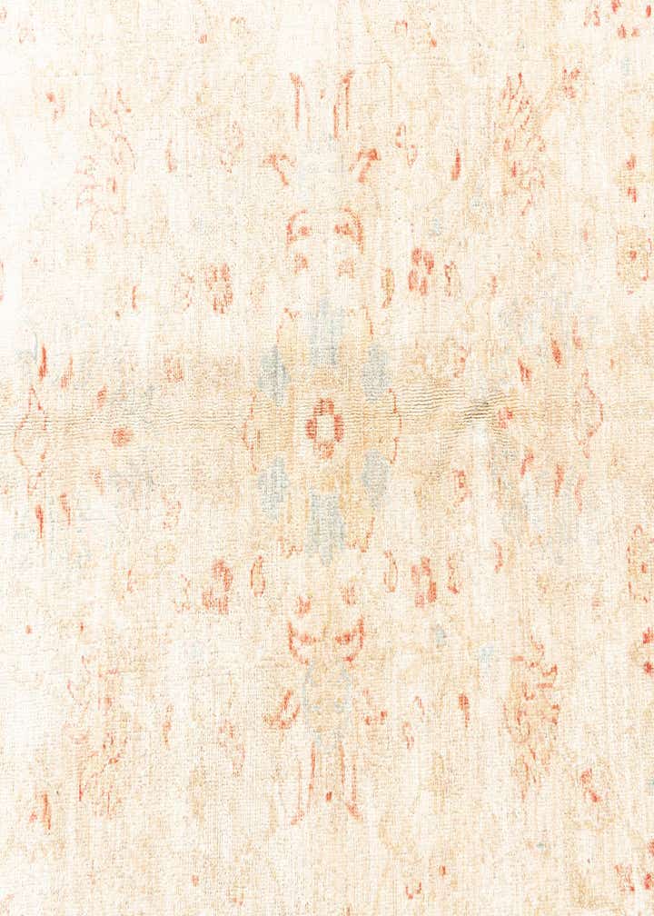 9' 11 x 13' 8 Hand Knotted Peshawar Ziegler Rug