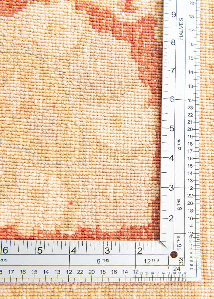 9' 11 x 13' 8 Hand Knotted Peshawar Ziegler Rug