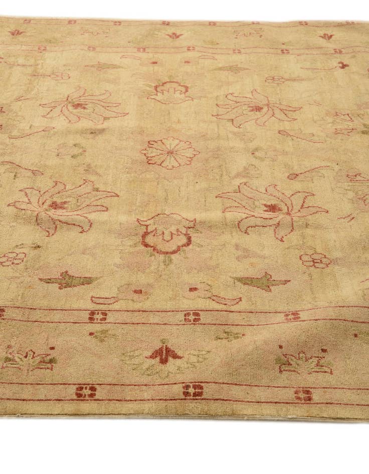 Detail image of 6' 6 x 10' Hand Knotted Peshawar Ziegler Rug