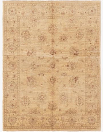 5' x 6' 7 Hand Knotted Peshawar Ziegler Rug