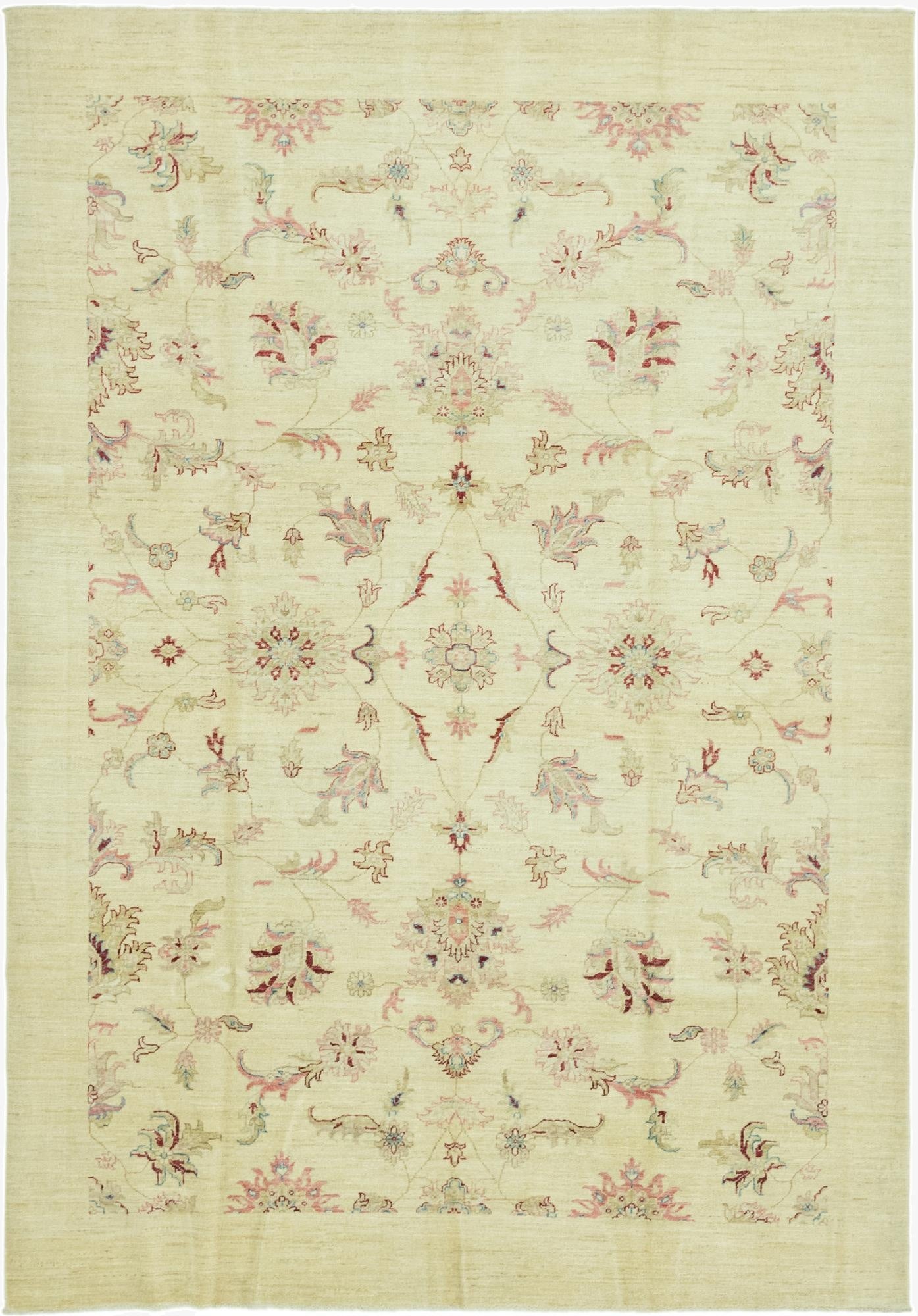 6' x 9' 4 Hand Knotted Peshawar Ziegler Rug