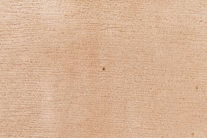 6' 7 x 9' 7 Hand Knotted Tibet Wool Rug