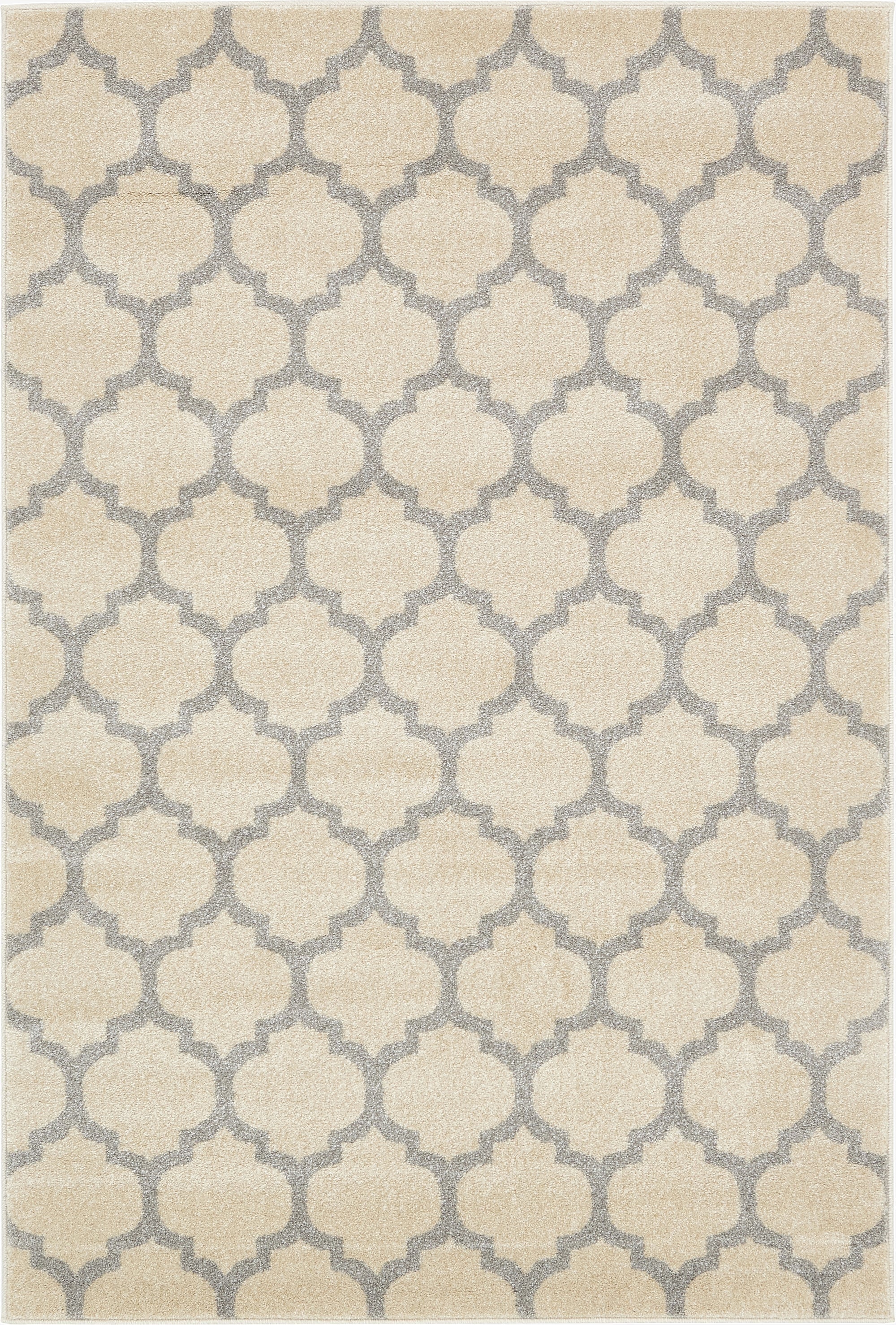 4' x 6' Trellis Rug