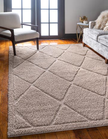 5' x 8' Trellis Shag Rug