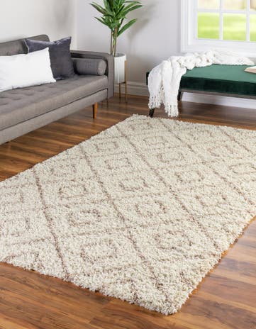10' x 13' Trellis Shag Rug