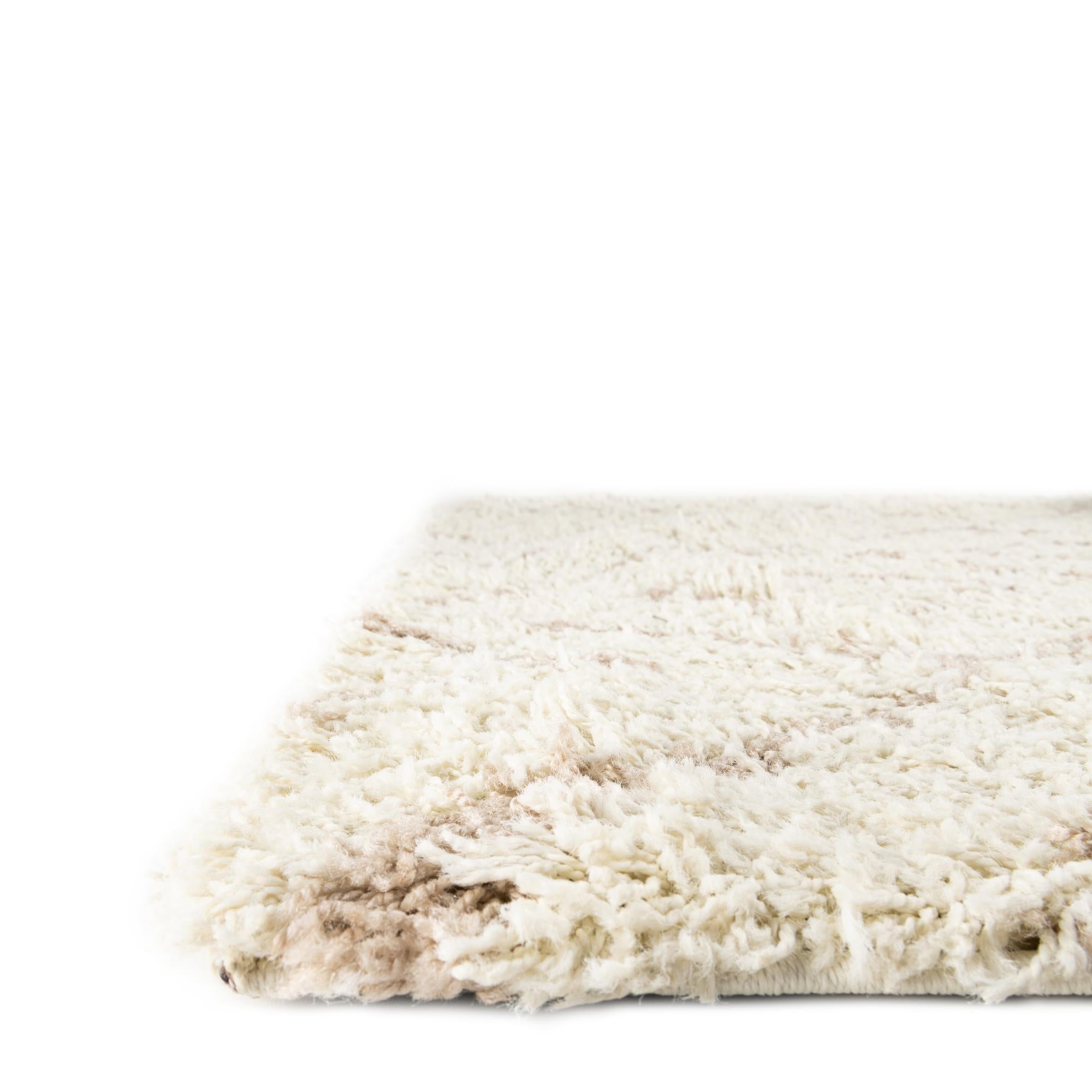 5' 3 x 8' Trellis Shag Rug