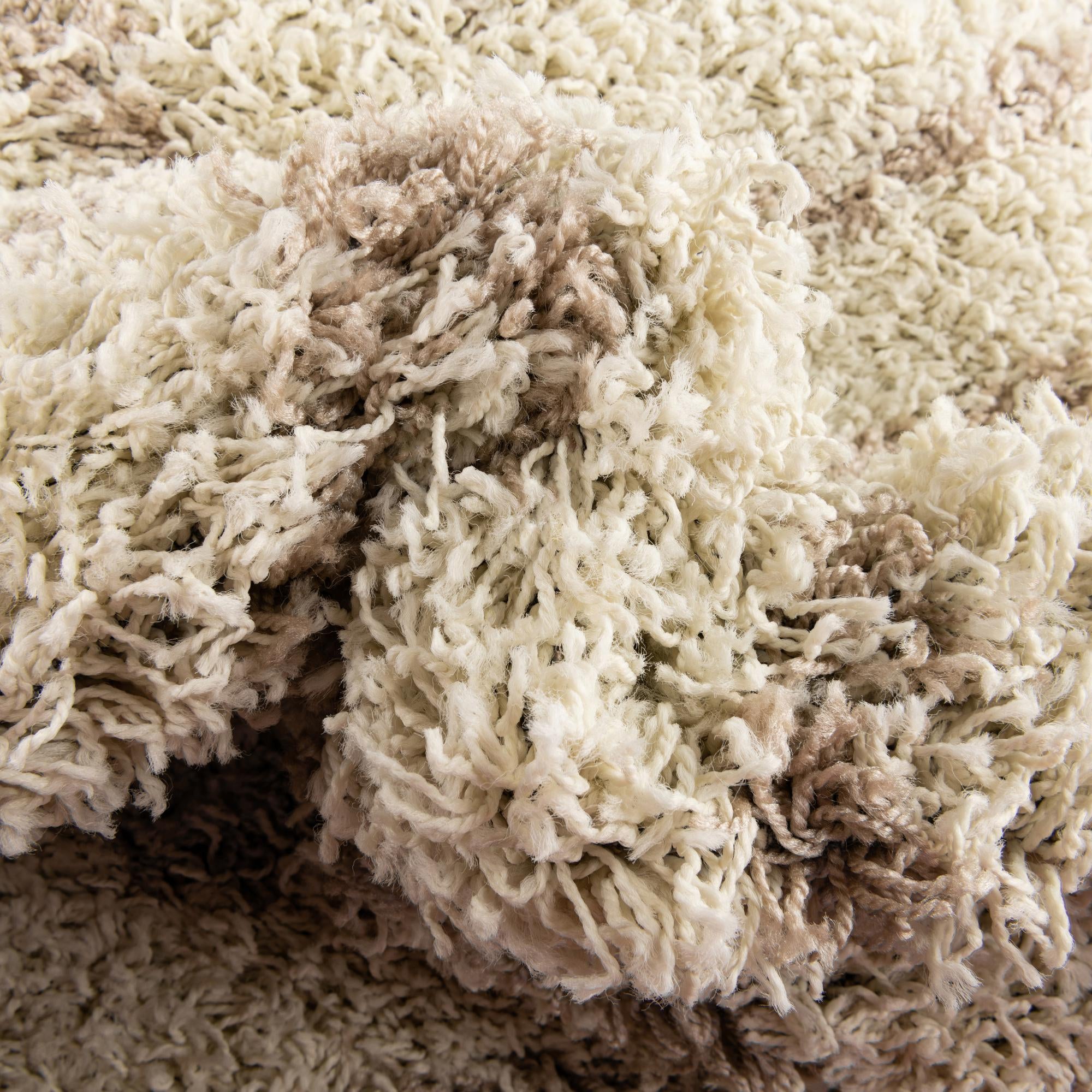 5' 3 x 8' Trellis Shag Rug