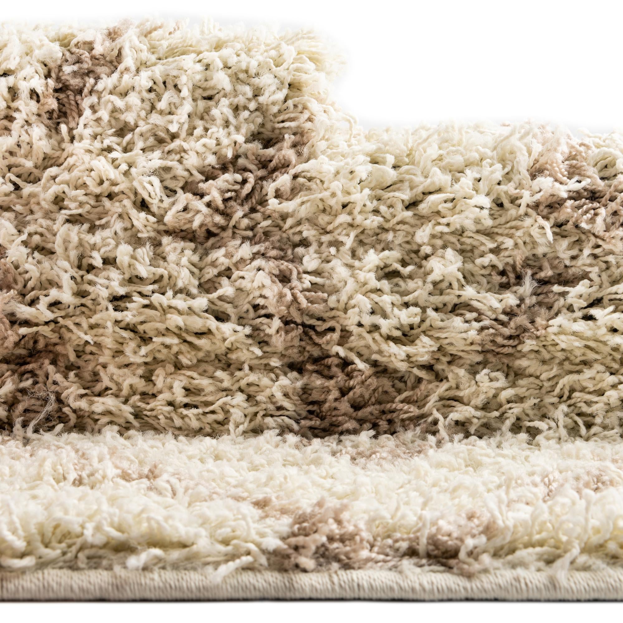 5' 3 x 8' Trellis Shag Rug