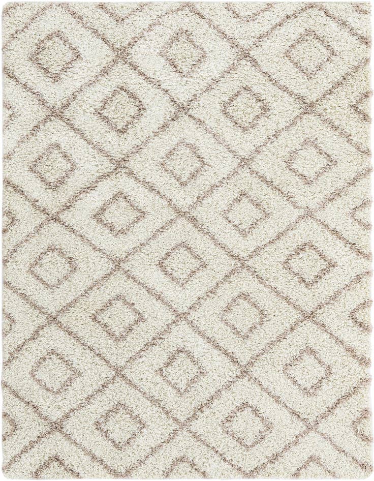 Detail image of 5' 3 x 8' Trellis Shag Rug