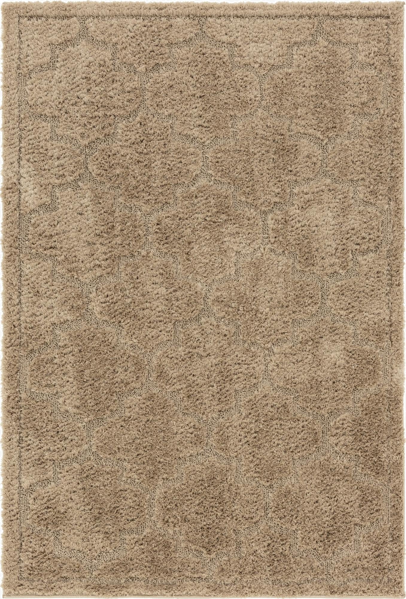 4' x 6' Trellis Shag Rug
