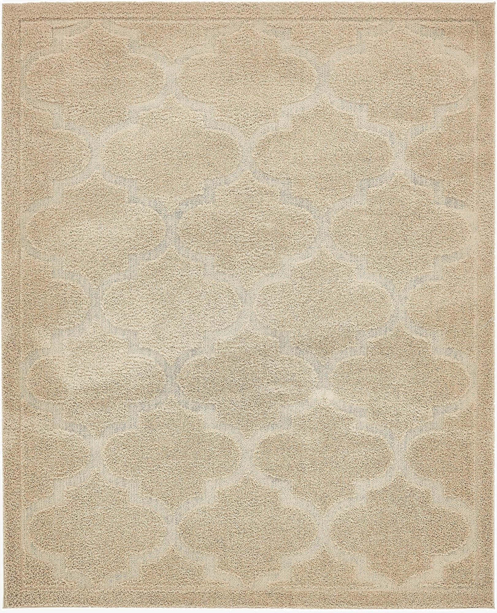 8' x 10' Trellis Shag Rug