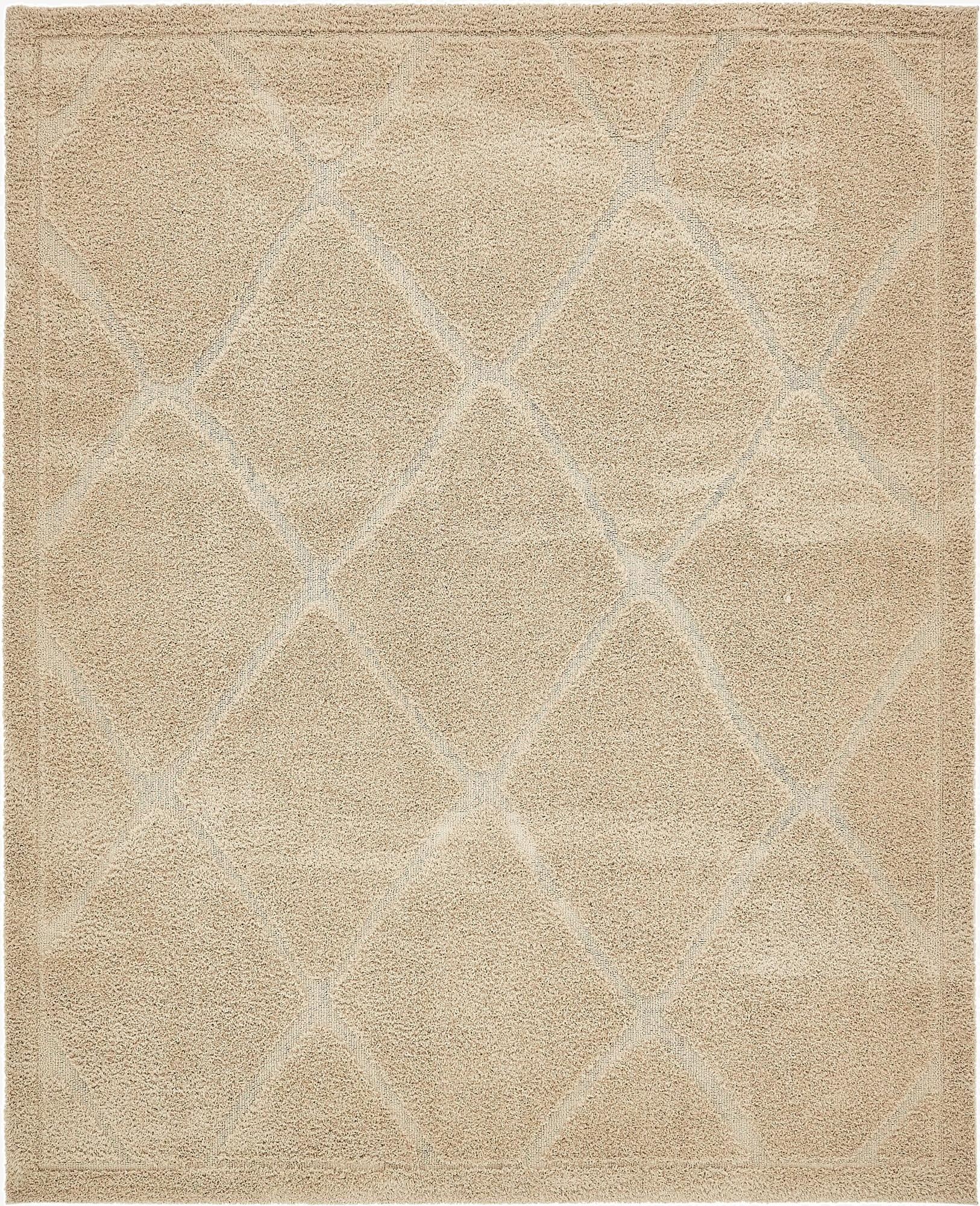 8' x 10' Trellis Shag Rug