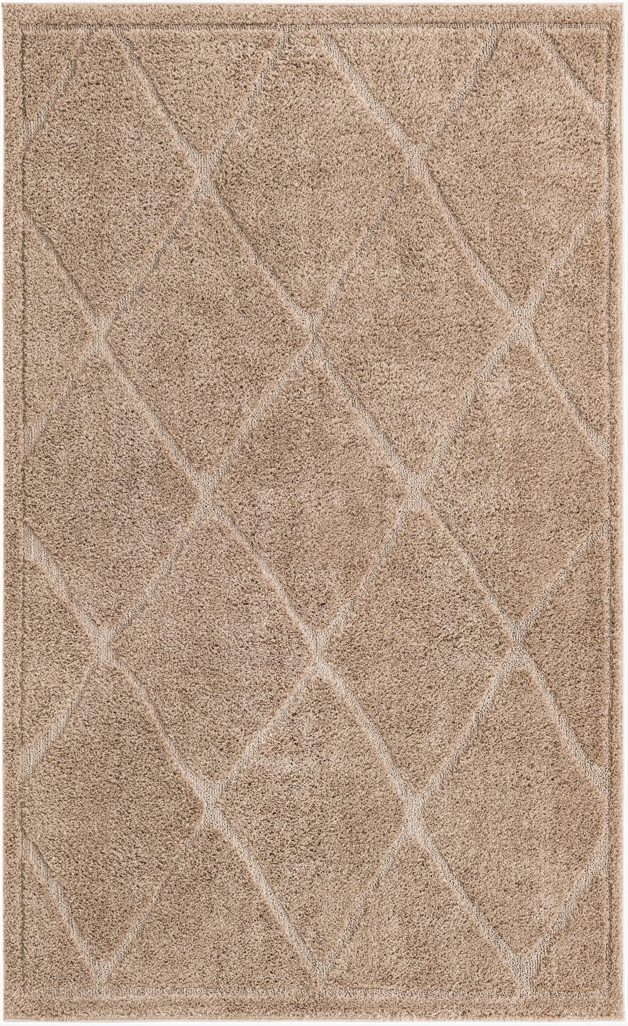 5' x 8' Trellis Shag Rug