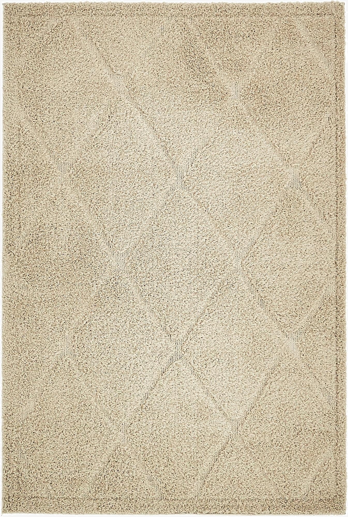 4' x 6' Trellis Shag Rug