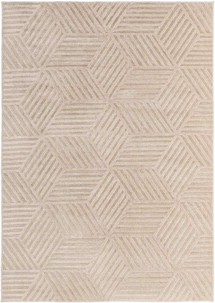 5' 2 x 7' 3 Trellis Textured Rug