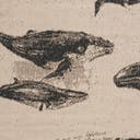 Color variant