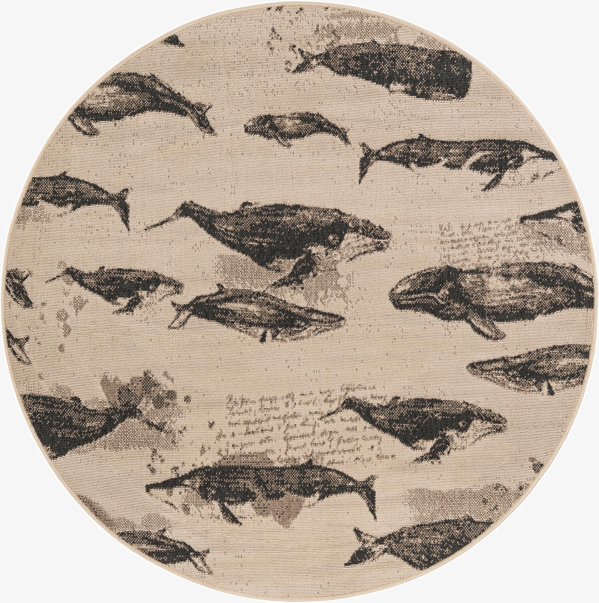 5' x 5'  Washable Coastal Indoor / Outdoor Round Rug