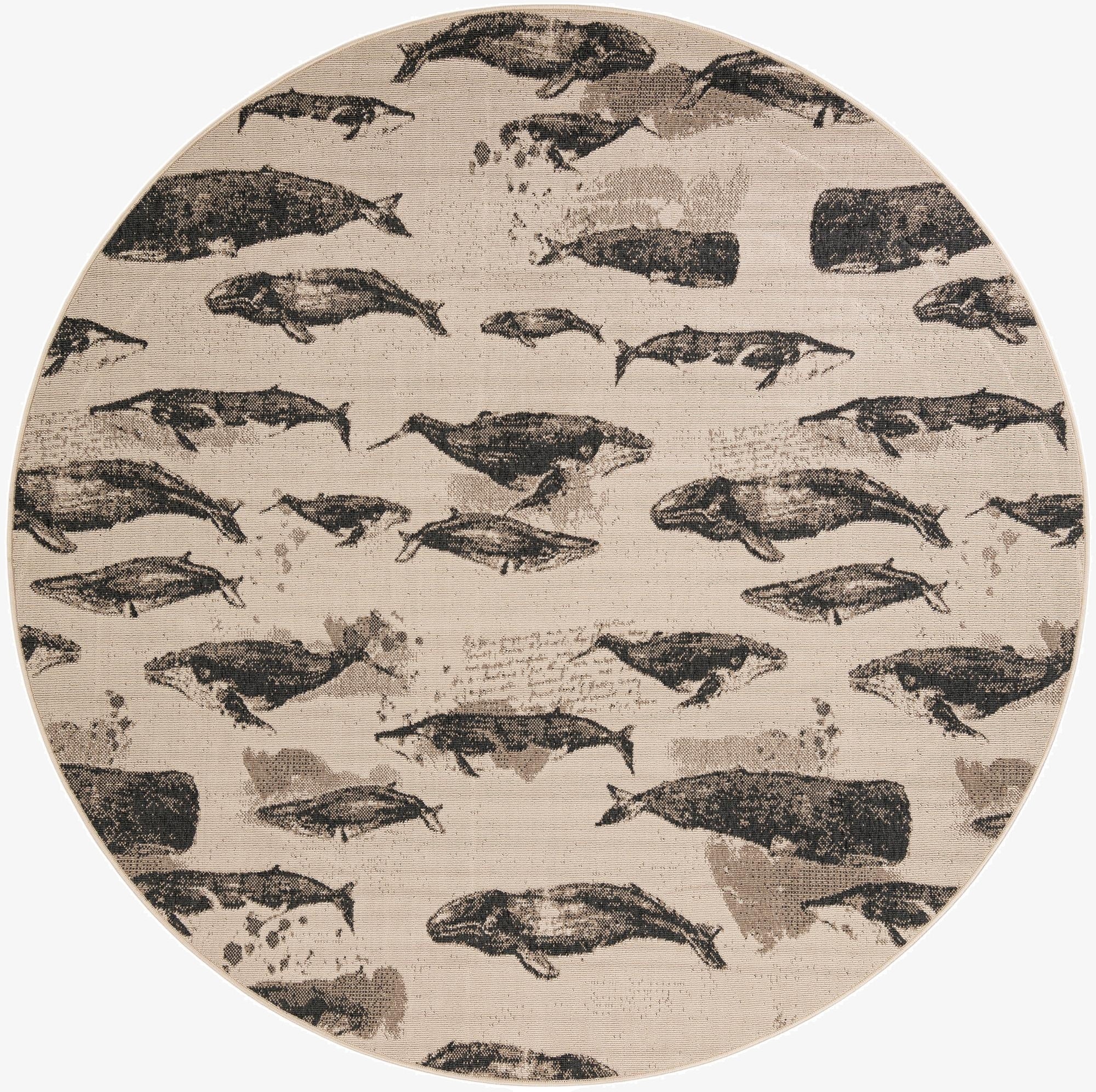 7' 10 x 7' 10  Washable Coastal Indoor / Outdoor Round Rug