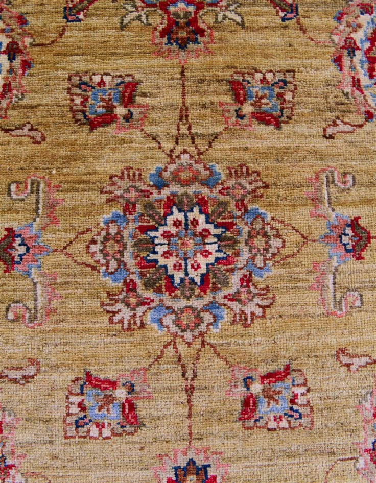 Detail image of 2' 8 x 10' 3 Hand Knotted Ariana Ziegler Runner Rug