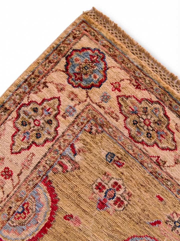 2' 11 x 10' 6 Hand Knotted Ariana Ziegler Runner Rug