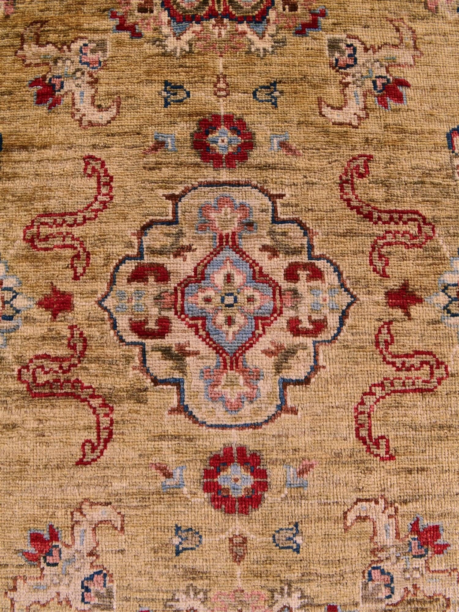 2' 11 x 10' 6 Hand Knotted Ariana Ziegler Runner Rug