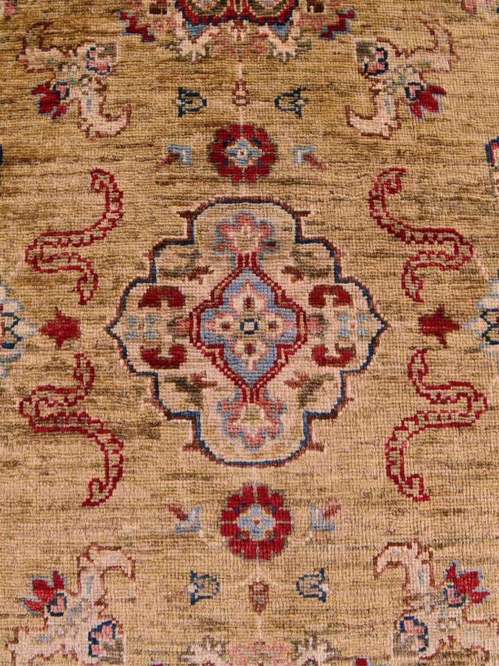 2' 11 x 10' 6 Hand Knotted Ariana Ziegler Runner Rug