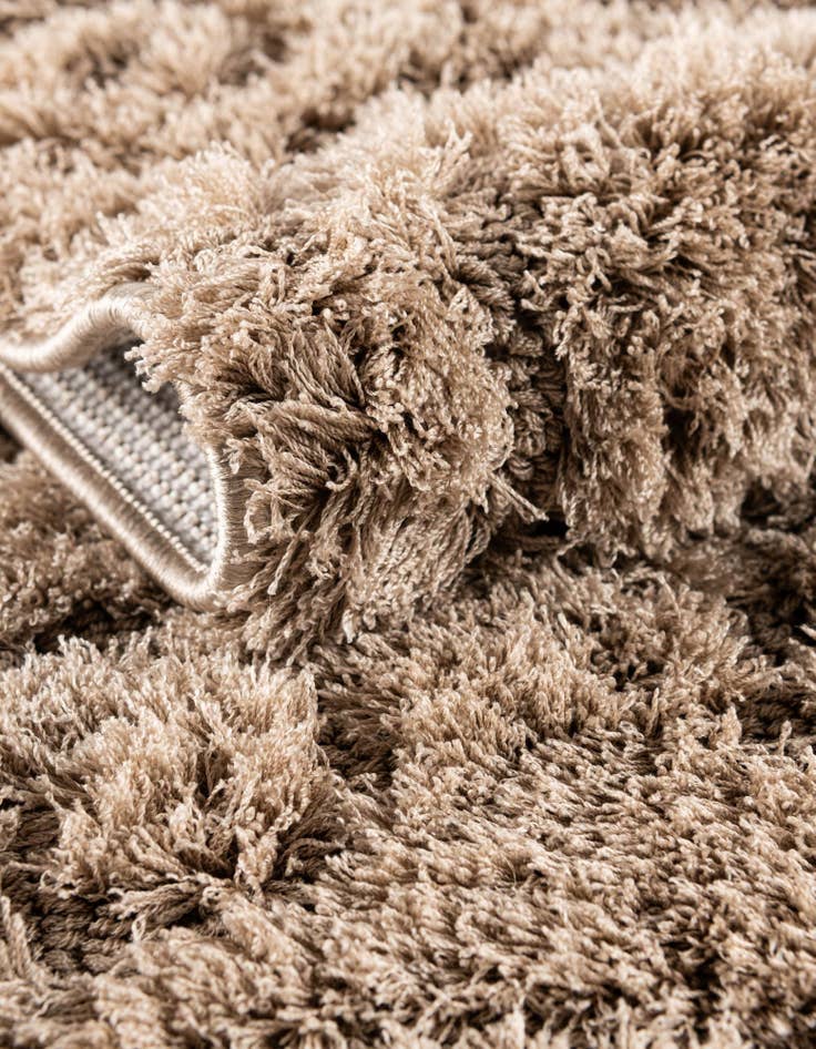 Detail image of 2' x 6' 7 Botanical Shag Runner Rug