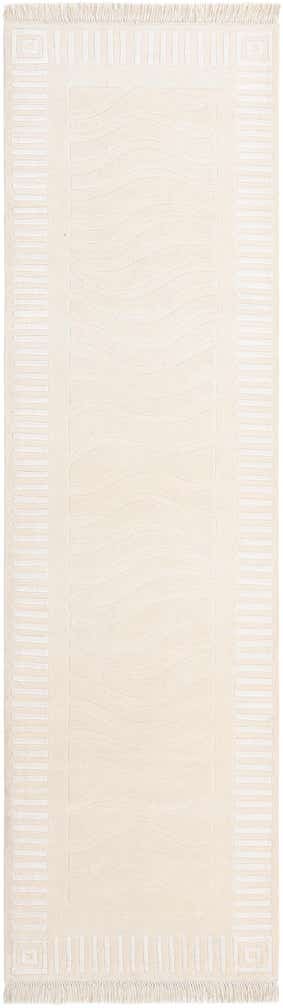 2' 10 x 9' 10 Hand Knotted Darya Wool Runner Rug