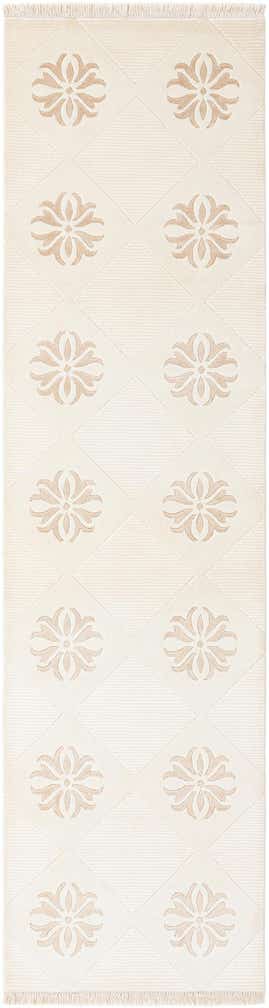 2' 7 x 9' 8 Hand Knotted Darya Wool Runner Rug